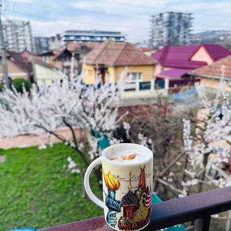 Camelia's Cluj-Napoca