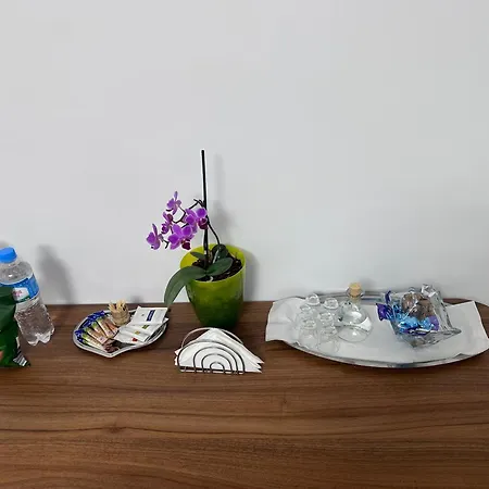 Camelia's Homestay Cluj-Napoca