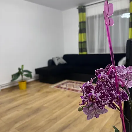 Homestay Camelia's Cluj-Napoca