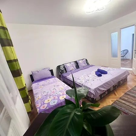 Camelia's Homestay Cluj-Napoca