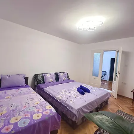Homestay Camelia's Cluj-Napoca