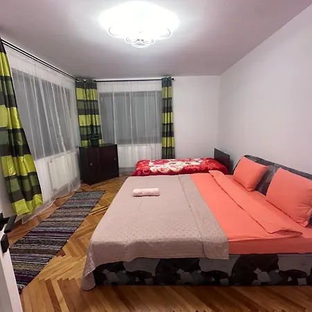 Homestay Camelia's Cluj-Napoca